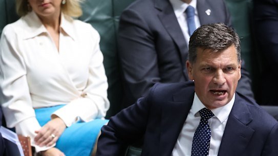 Opposition Leader Angus Taylor during question time.