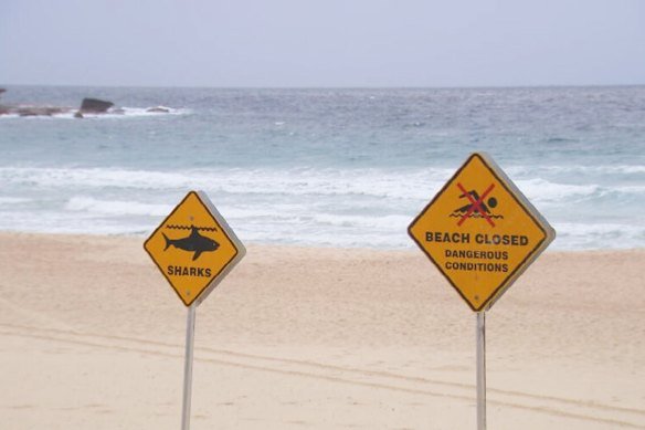 A shark sighting has closed Bondi Beach again on Thursday.