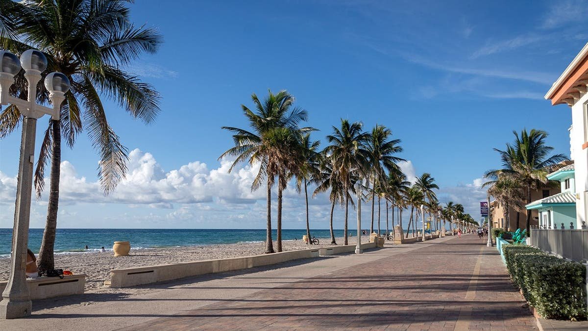 photo shows beach and promenade with palm trees