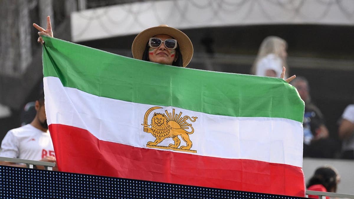 An Iranian fan holding a pre-revolutionary Iranian flag at Los Angeles Stadium in Inglewood.