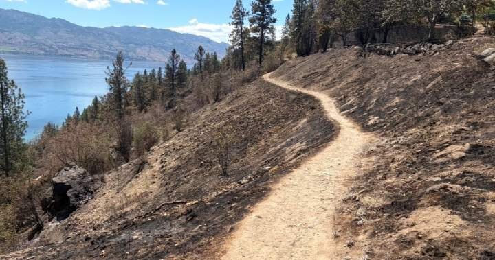 Suspected illegal campfire blamed for Kalamoir Park wildfire as safety concerns remain Suspected illegal campfire blamed for Kalamoir Park wildfire as safety concerns remain