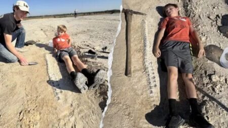 Kansas boy discovers 15-foot marine reptile fossil from 85 million years ago during geology field trip Kansas boy discovers 15-foot marine reptile fossil from 85 million years ago during geology field trip