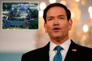 Rubio and UFC will sign deal to use cage fights for diplomacy Rubio and UFC will sign deal to use cage fights for diplomacy