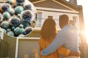 Your home’s air might be making you sick — here’s what to do about it Your home’s air might be making you sick — here’s what to do about it