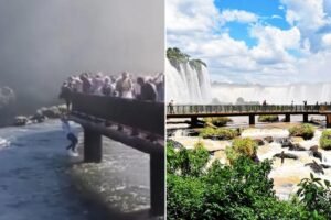 Clueless tourist jumps into rapid waters near 262-foot waterfall to retrieve dropped cell phone Clueless tourist jumps into rapid waters near 262-foot waterfall to retrieve dropped cell phone