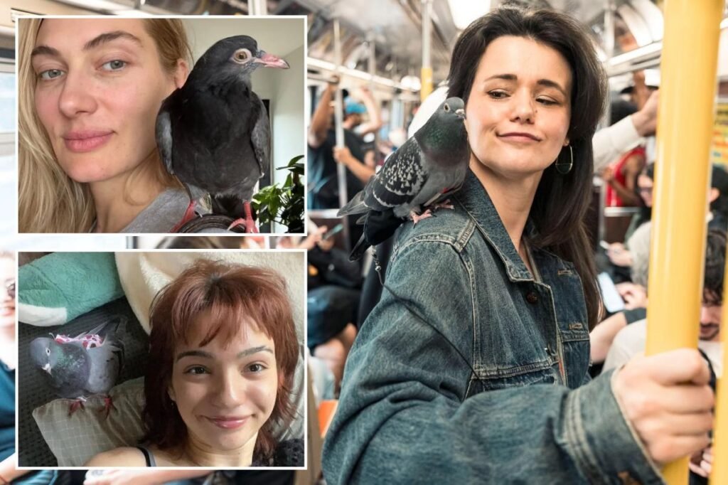 Exclusive | Meet the wacky ‘pigeon girls’ adopting oft-hated ‘rats with wings’ who swear they make lovable pets: ‘They’re amazing creatures’ Exclusive | Meet the wacky ‘pigeon girls’ adopting oft-hated ‘rats with wings’ who swear they make lovable pets: ‘They’re amazing creatures’