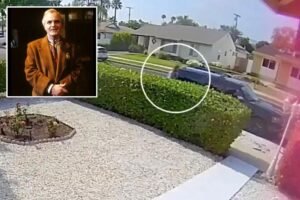 James Handy girlfriend’s son seen calmly walking away from where ‘Top Gun: Maverick’ actor was stabbed to death