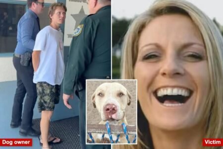 Pit bulls who mauled Florida woman to death attacked another neighbor weeks earlier: court docs Pit bulls who mauled Florida woman to death attacked another neighbor weeks earlier: court docs