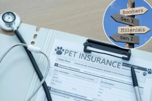 The 2026 petflation crisis: How outrageous vet bills are breaking everyone from Gen Z to Boomers The 2026 petflation crisis: How outrageous vet bills are breaking everyone from Gen Z to Boomers