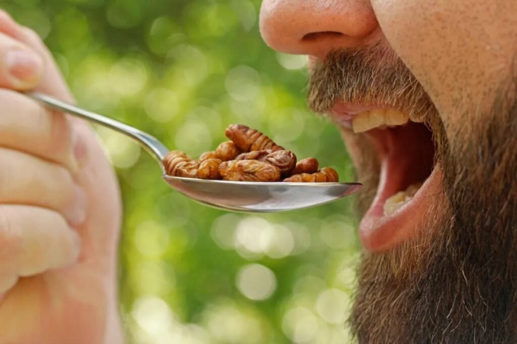 Eating insect-based foods may be easier to stomach than consumers expect, researchers claim Eating insect-based foods may be easier to stomach than consumers expect, researchers claim