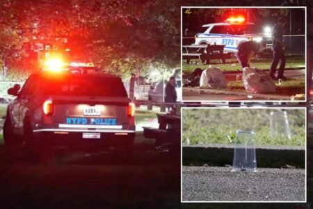 4 wounded, including 2 teens, in wild shootout at NYC park 4 wounded, including 2 teens, in wild shootout at NYC park