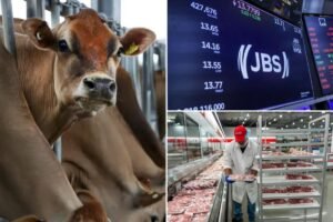 World’s largest meat supplier shuts two plants — and it’s bad news for beef lovers World’s largest meat supplier shuts two plants — and it’s bad news for beef lovers
