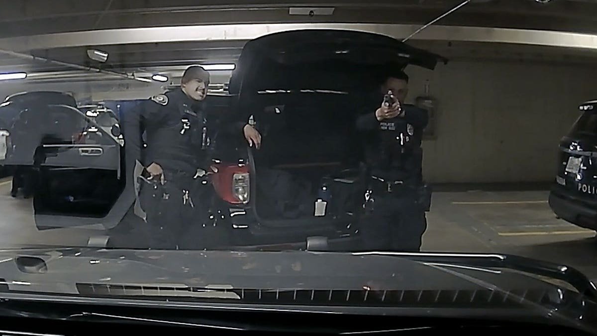 Police officer points weapon