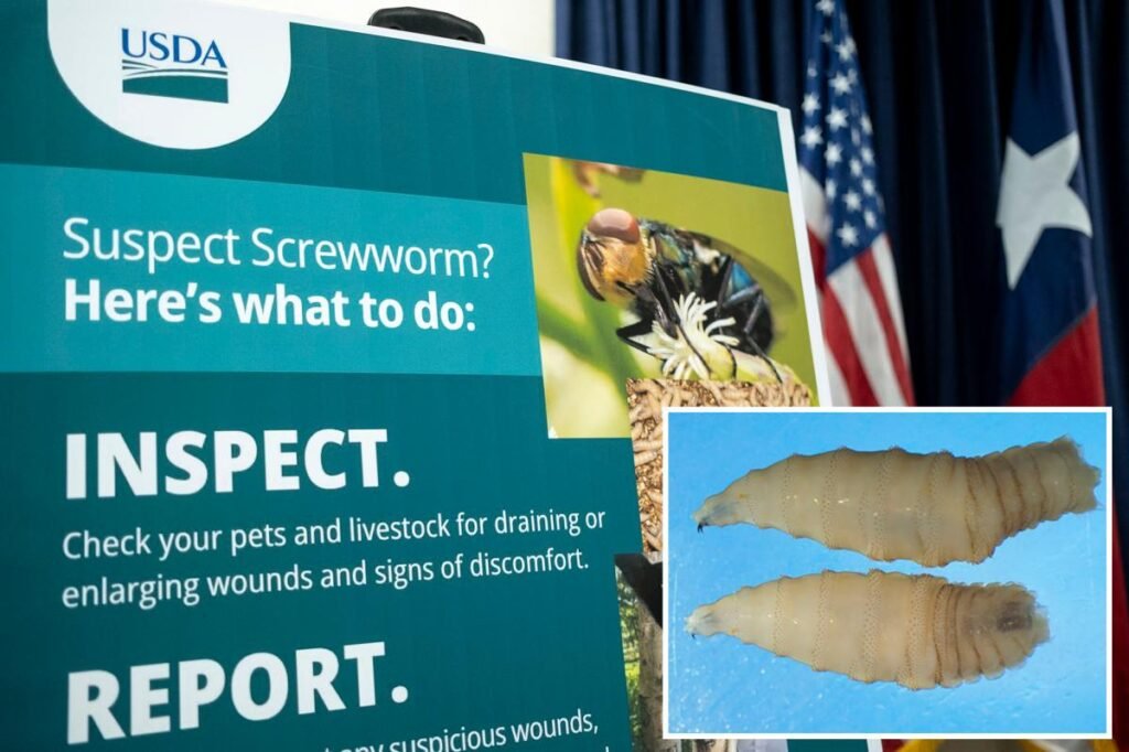 FDA approves emergency use of drug to treat deadly, flesh-eating parasite attacking dogs and cats FDA approves emergency use of drug to treat deadly, flesh-eating parasite attacking dogs and cats