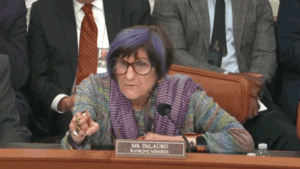 WATCH: Hearing derails as purple-haired Dem points finger, screams at chair to put DHS chief ‘in his place’