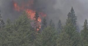 Wildfire fighting continues in Saskatchewan as blaze near Prince Albert slows