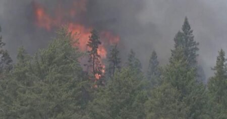 Wildfire fighting continues in Saskatchewan as blaze near Prince Albert slows Wildfire fighting continues in Saskatchewan as blaze near Prince Albert slows