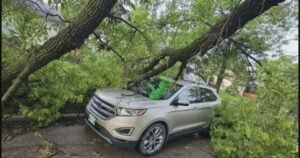 Thousands without power in southern Manitoba after storm causes ‘chaos’ Thousands without power in southern Manitoba after storm causes ‘chaos’