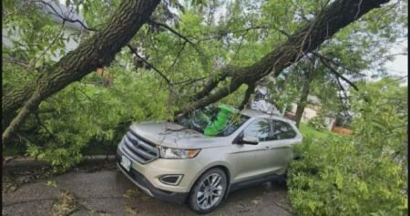Thousands without power in southern Manitoba after storm causes ‘chaos’ Thousands without power in southern Manitoba after storm causes ‘chaos’
