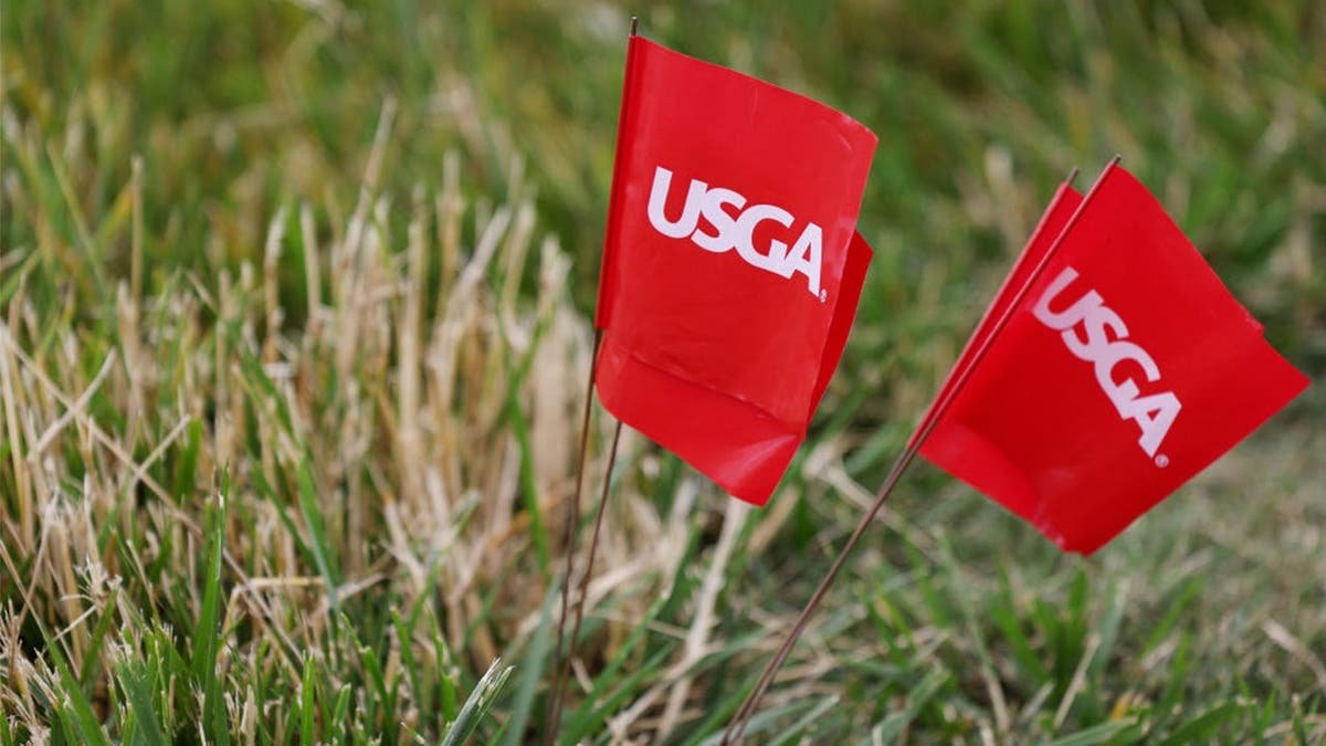 A detail of USGA marker flags