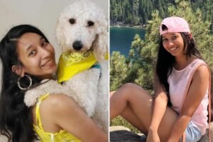 Woman survives car crash — then gets mowed down trying to save dog that ran onto highway Woman survives car crash — then gets mowed down trying to save dog that ran onto highway