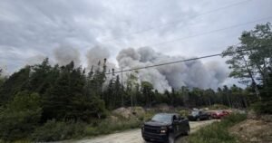 Wildfire northeast of Halifax being held, N.S. officials say Wildfire northeast of Halifax being held, N.S. officials say