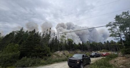 Wildfire northeast of Halifax being held, N.S. officials say Wildfire northeast of Halifax being held, N.S. officials say