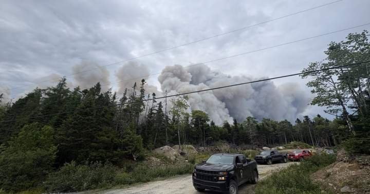 Wildfire northeast of Halifax being held, N.S. officials say Wildfire northeast of Halifax being held, N.S. officials say