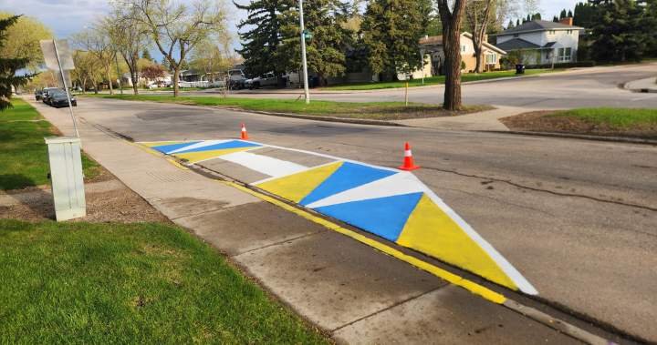 Saskatoon resident paints crosswalk, takes pedestrian safety into own hands Saskatoon resident paints crosswalk, takes pedestrian safety into own hands