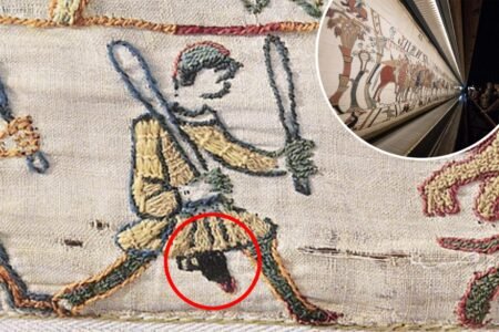 Penis debate continues to rage as Bayeux Tapestry returns to UK for first time in over 1,000 years Penis debate continues to rage as Bayeux Tapestry returns to UK for first time in over 1,000 years