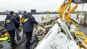Geese flock blamed for Siemens CEO family crash in New York Geese flock blamed for Siemens CEO family crash in New York