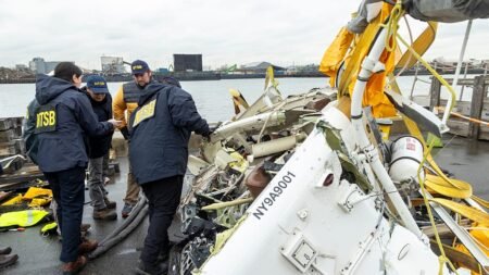 Geese flock blamed for Siemens CEO family crash in New York Geese flock blamed for Siemens CEO family crash in New York