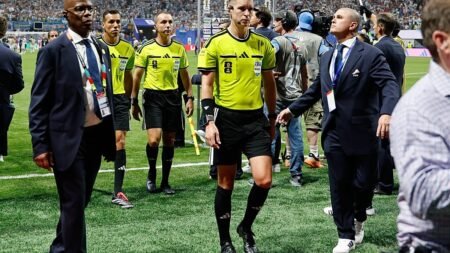 Fact check: False claims target referee after Egypt World Cup exit