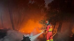 Aragón wildfire scorches 12,000 hectares in Zaragoza