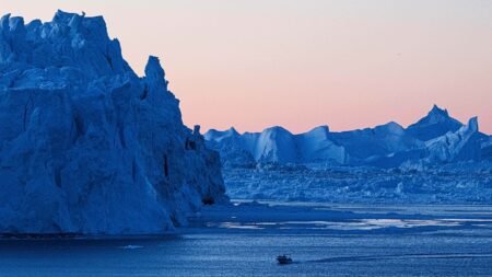 Greenland institute halts new collaborations with the US Greenland institute halts new collaborations with the US