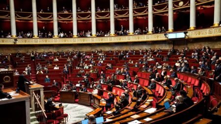 French parliament adopts assisted dying bill French parliament adopts assisted dying bill