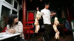 EU to probe Chinese Pekin duck imports as market-flooding row hots up EU to probe Chinese Pekin duck imports as market-flooding row hots up