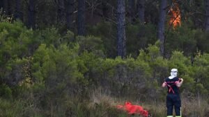 EU wildfire strategy falls short as Europe burns