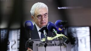 ‘Big mistake to believe we’re off the hook in Europe and beyond’ – IEA ‘Big mistake to believe we’re off the hook in Europe and beyond’ – IEA