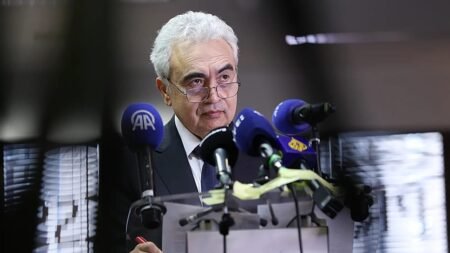‘Big mistake to believe we’re off the hook in Europe and beyond’ – IEA