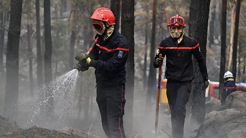 France suffers record wildfire destruction by mid-July