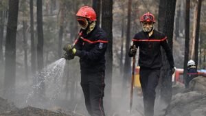 France suffers record wildfire destruction by mid-July France suffers record wildfire destruction by mid-July