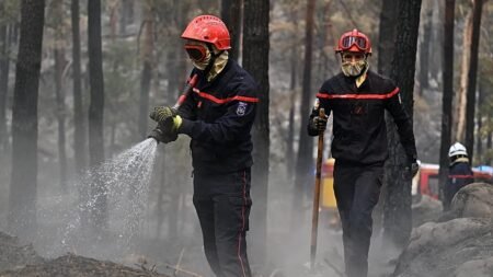 France suffers record wildfire destruction by mid-July