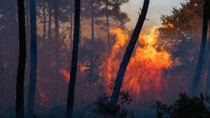 Southern Europe continues to battle growing wildfires Southern Europe continues to battle growing wildfires