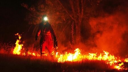 France and Spain battle to control wildfires ahead of new heatwave