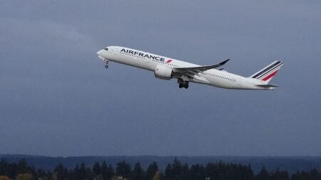 Air France suspends Middle East flights to Riyadh, Dubai and Beirut Air France suspends Middle East flights to Riyadh, Dubai and Beirut