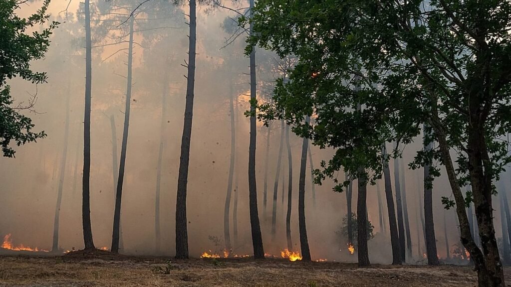 Evacuations ordered in Bordeaux suburbs as wildfires continue