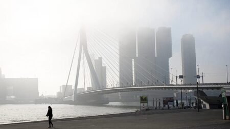 Two trams collide on Rotterdam’s Erasmus Bridge, injuring 15