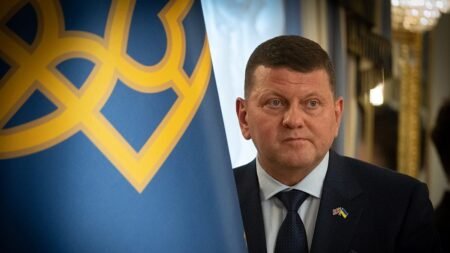 Ukraine’s former commander-in-chief to run for president, reports say Ukraine’s former commander-in-chief to run for president, reports say