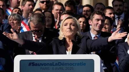 ‘People admire scars’: MEPs fear Le Pen more than Bardella ‘People admire scars’: MEPs fear Le Pen more than Bardella